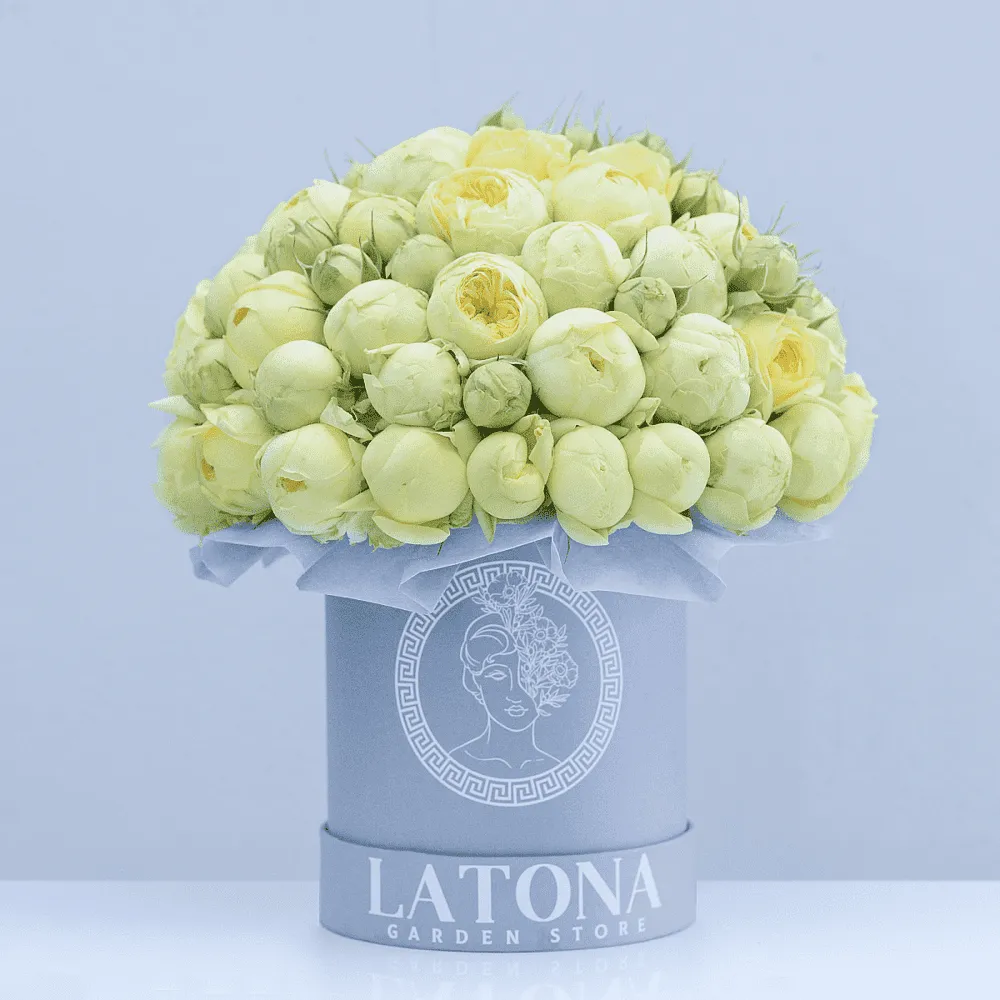 Ծաղկային կոմպոզիցիա «Latona Pandora» 