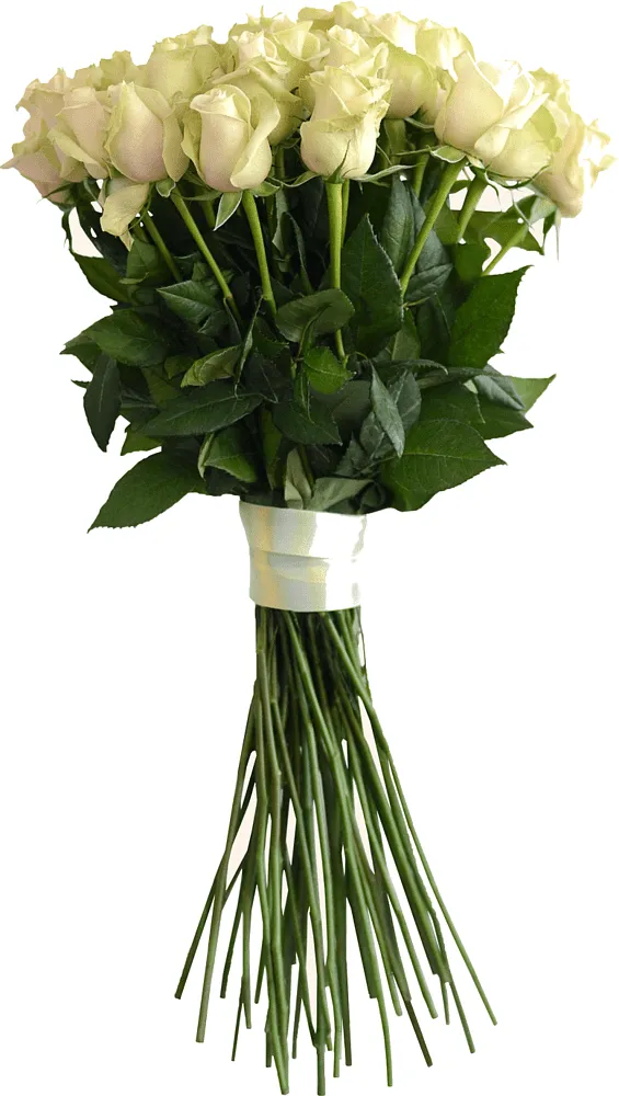 Ծաղկեփունջ «My Rose La Perla» 19 հատ