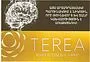 Տաքացվող ծխախոտի գլանակներ «TEREA YELLOW»