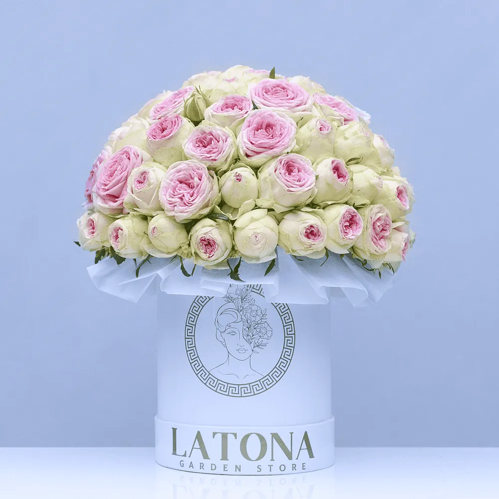 Ծաղկային կոմպոզիցիա «Latona Terra»