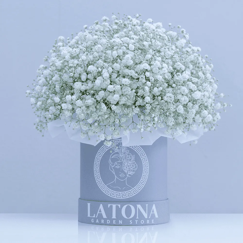Ծաղկային կոմպոզիցիա «Latona Adana»