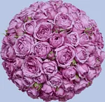 Ծաղկային կոմպոզիցիա «Latona Selene»