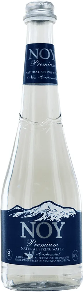 Աղբյուրի ջուր «Նոյ» 0.5լ

