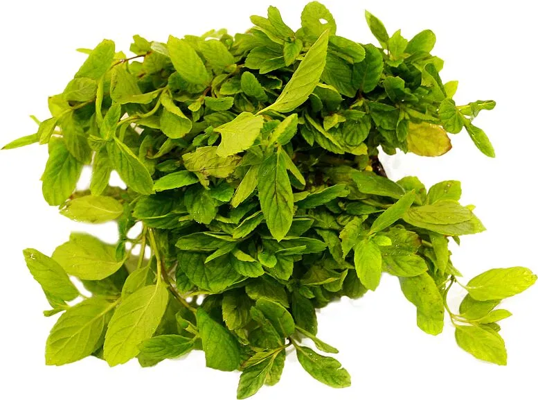 Անանուխ