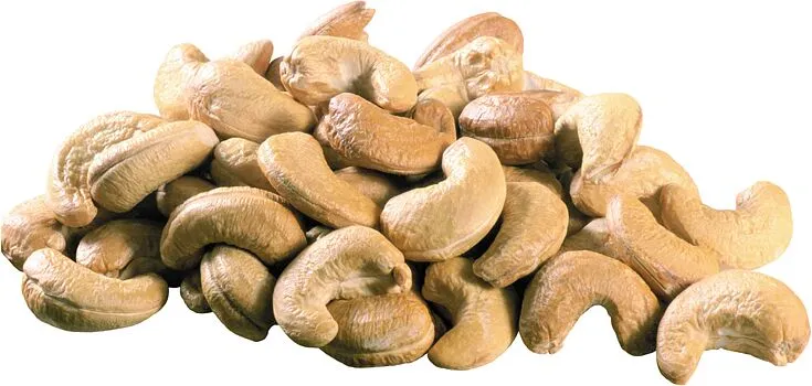 Ընկույզ հնդկական
