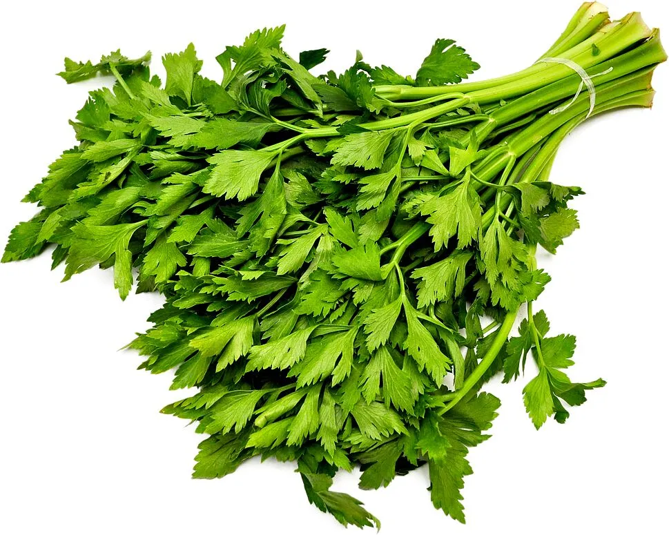 Նեխուր