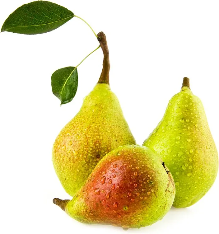 Տանձ, արևելյան