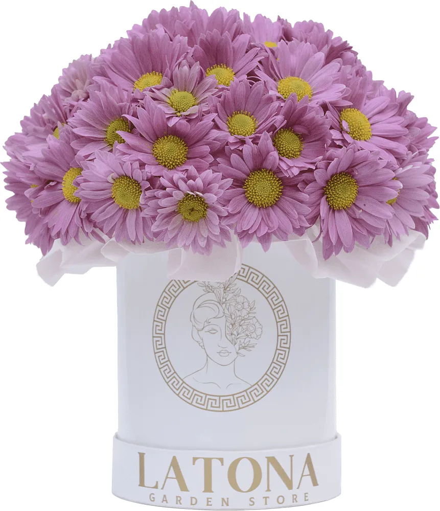 Ծաղկային կոմպոզիցիա «Latona Kostaroma»