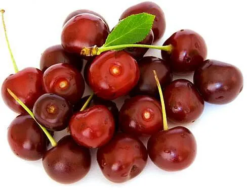 Բալ