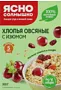 Փաթիլներ վարսակի «Ясно Солнышко» 300գ
