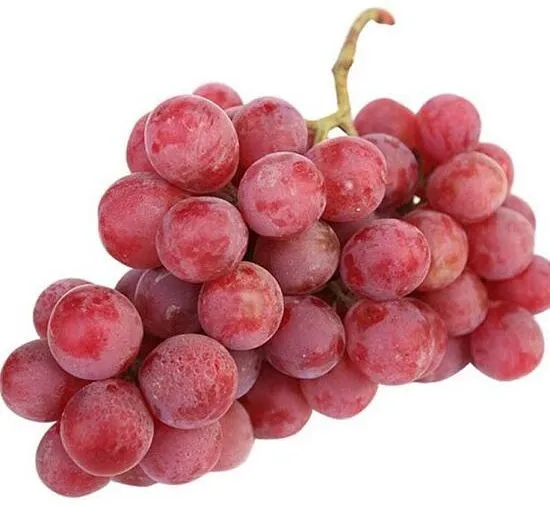 Խաղող չիլի