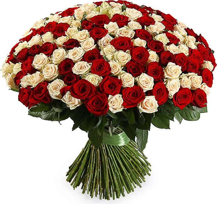 Ծաղկեփունջ «My Rose La sentimentale» 201 հատ