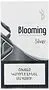Ծխախոտ «Blooming Super Slim Silver»