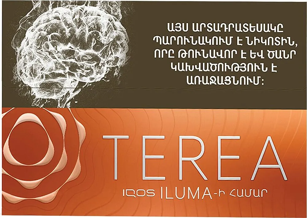 Տաքացվող ծխախոտի գլանակներ «TEREA AMBER»