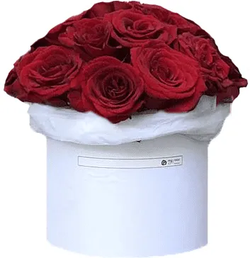 Ծաղկային կոմպոզիցիա «My Rose Story»