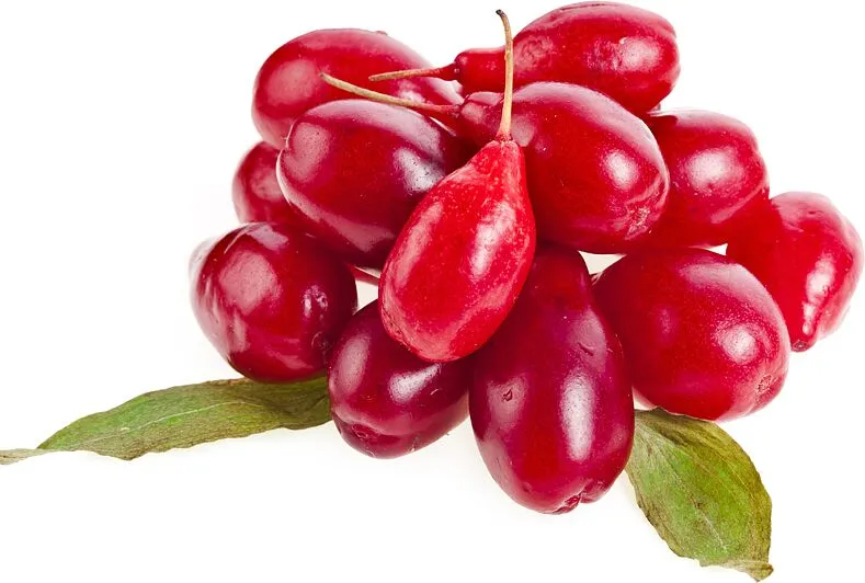 Հոն