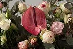 Էքսկլյուզիվ կոմպոզիցիա «SAS Flowers by Villani»
