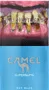 Ծխախոտ «Camel Superslims Sky Blue»