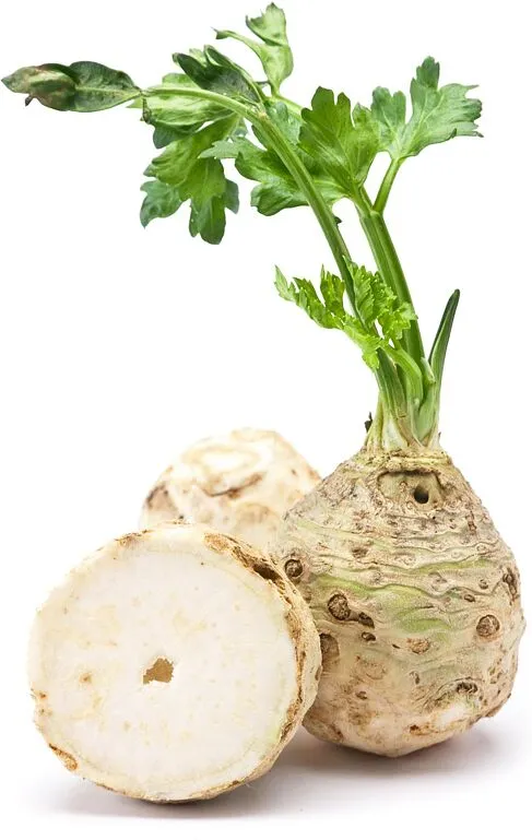 Նեխուրի արմատներ
