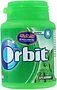 Մաստակ նուրբ անանուխի «Orbit» 64գ