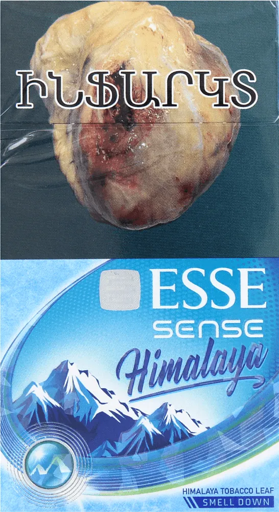Ծխախոտ «Esse Sense Himalaya»