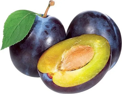 Սև սալոր 