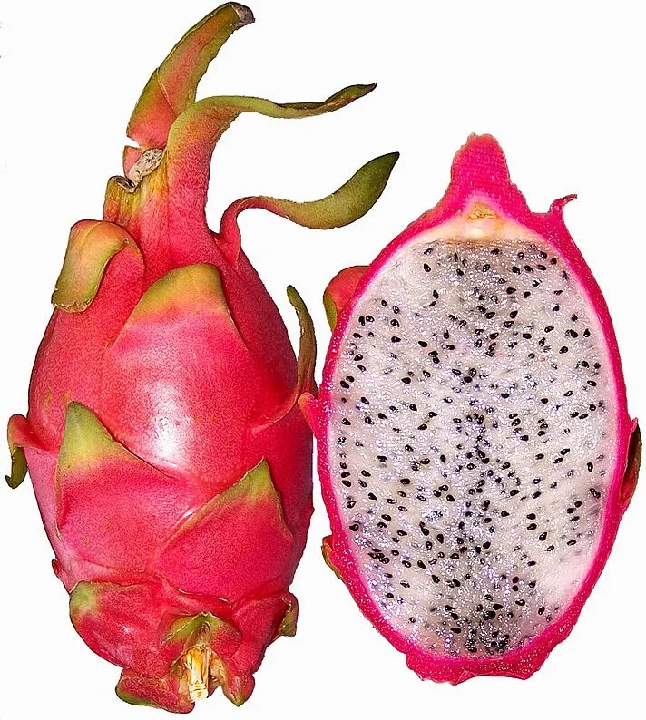Պիտախայա