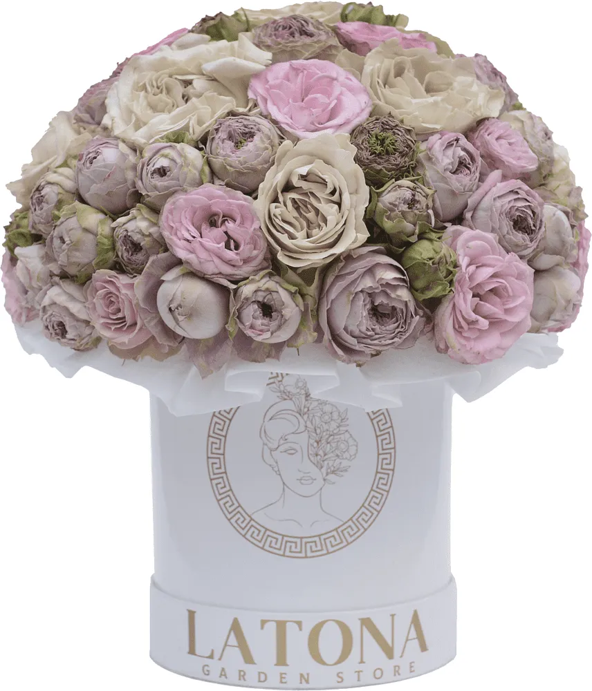 Ծաղկային կոմպոզիցիա «Latona Freya»