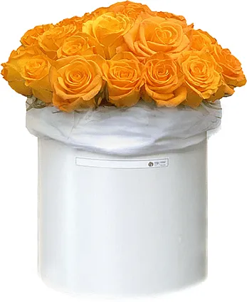 Ծաղկեփունջ «My Rose Marone»