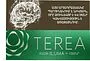 Տաքացվող ծխախոտի գլանակներ «TEREA GREEN»