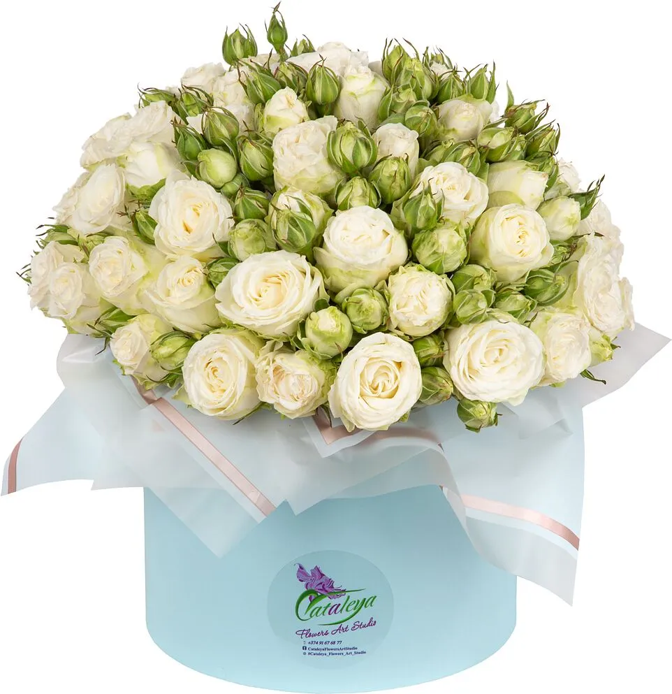 Ծաղկային կոմպոզիցիա «Cataleya»
