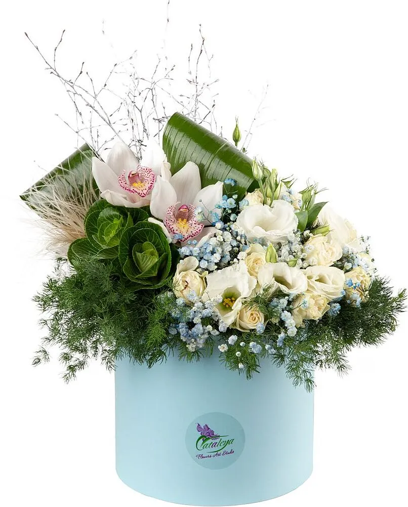 Ծաղկային կոմպոզիցիա «Cataleya»