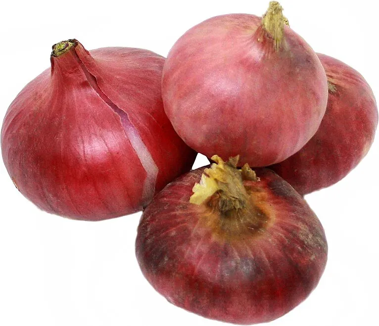Սոխ կարմիր տեղական
