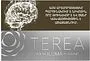 Տաքացվող ծխախոտի գլանակներ «TEREA SILVER»