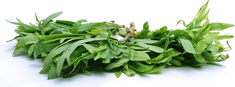 Թարխուն 
