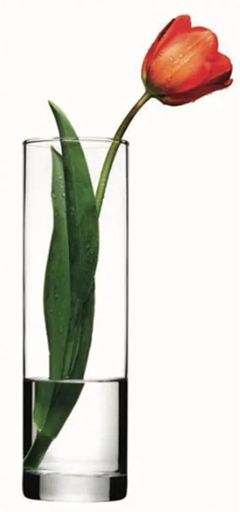 Ծաղկաման ապակե «Pasabahce Flora»