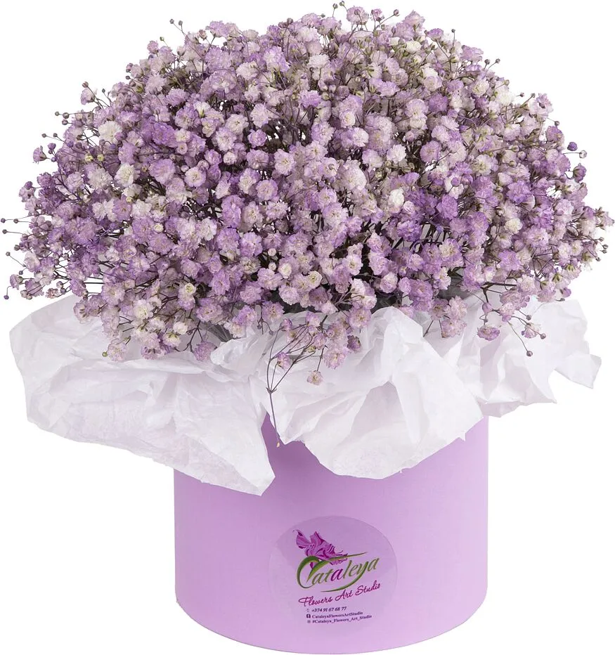 Ծաղկային կոմպոզիցիա «Cataleya»