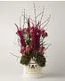 Էքսկլյուզիվ կոմպոզիցիա «SAS Flowers by Villani»