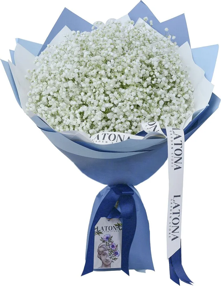 Ծաղկեփունջ «Latona Cinderella»