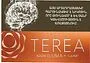 Տաքացվող ծխախոտի գլանակներ «TEREA AMBER»