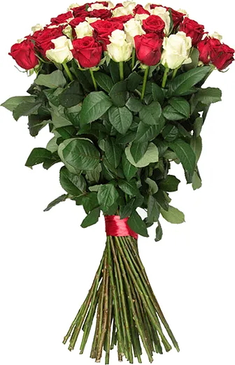 Ծաղկեփունջ «My Rose For Her» 51 հատ