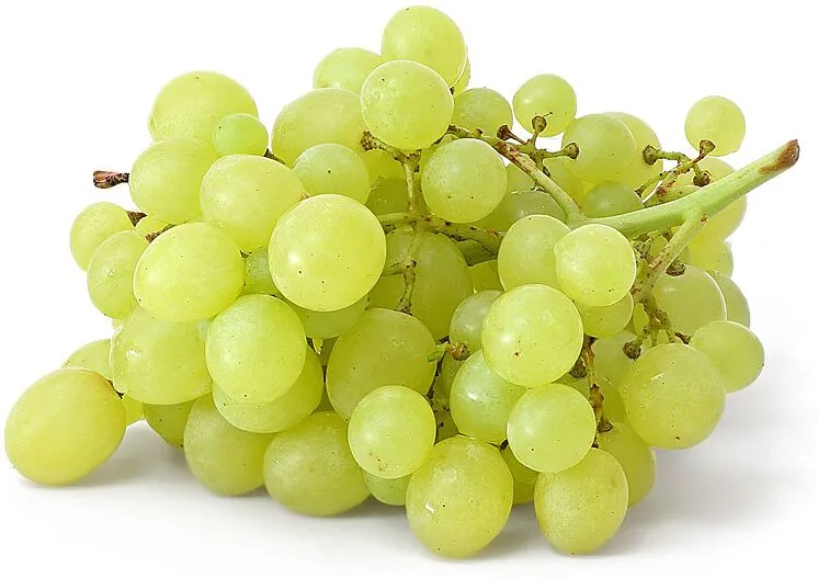 Խաղող մսխալի