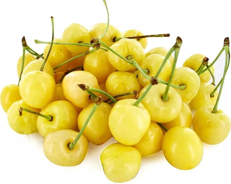 Կեռաս սպիտակ