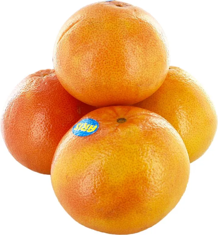 Թուրինջ աֆրիկական