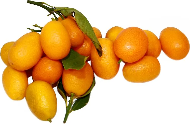 Կումկվատ