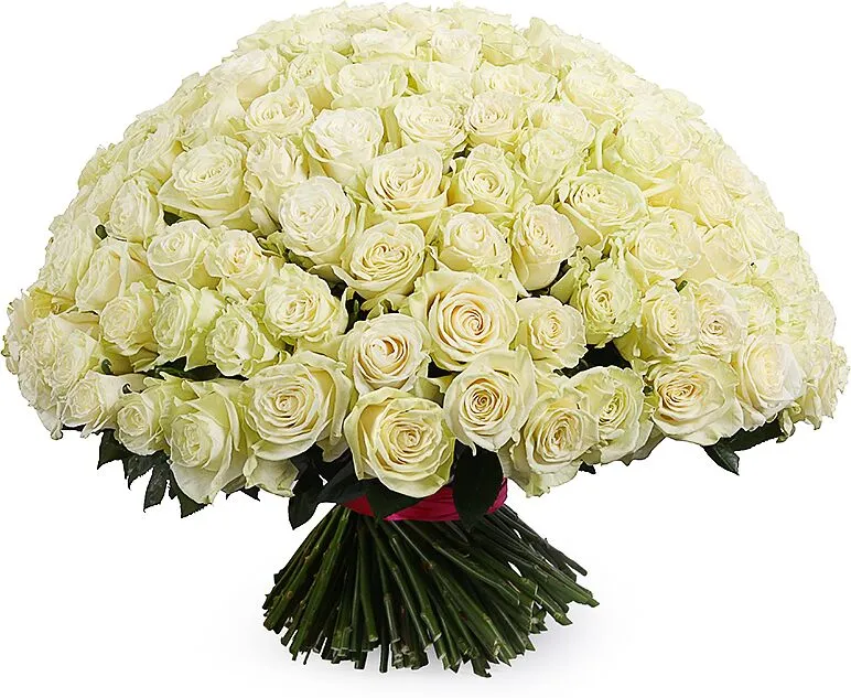Ծաղկեփունջ «My Rose Corazón» 201 հատ