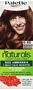 Մազի ներկ «Palette Naturals» №6-68