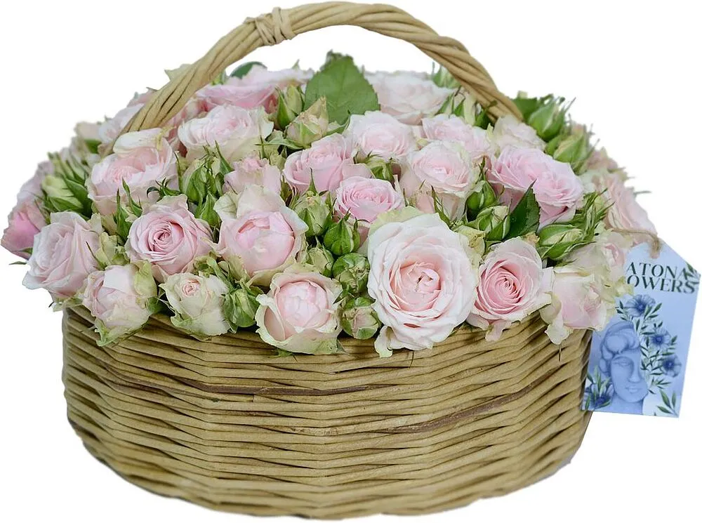 Ծաղկային կոմպոզիցիա «Latona Charlotte»