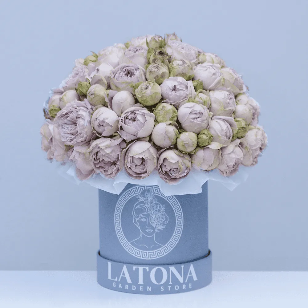 Ծաղկային կոմպոզիցիա «Latona» 