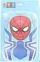 Գրչատուփ դպրոցական «Marvel Spiderman»